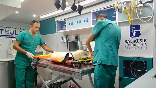 ''CAN DOSTLARIMIZIN 7/24 MOBİL HİZMETLE YANINDAYIZ ''