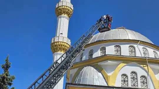 Büyükşehir, Yaralı Leyleği Kurtardı