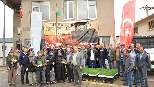 Büyükşehir'den çiftçiye fide desteği