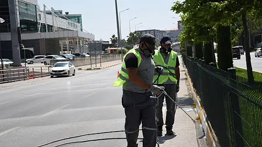 Büyükşehir'den refüjlere estetik dokunuş