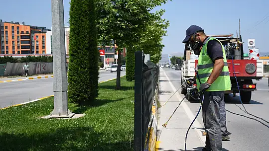 Büyükşehir'den refüjlere estetik dokunuş