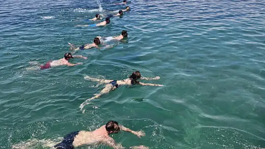Cankurtaranlar yaz sezonuna hazır
