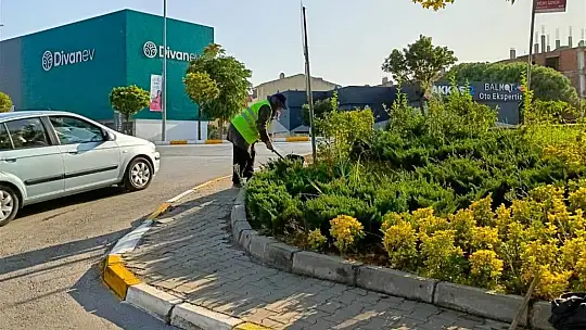 Temiz Bakımlı ve Estetik Şehir Balıkesir