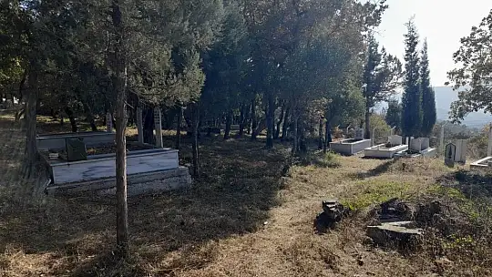 Temiz Bakımlı ve Estetik Şehir Balıkesir