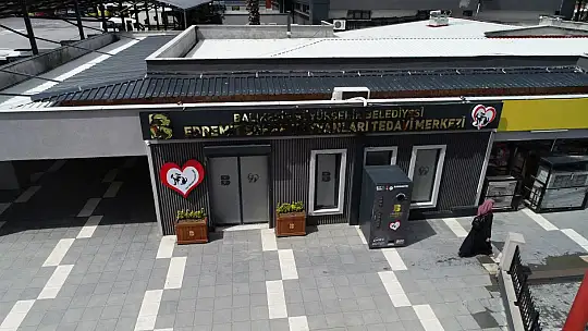 'EDREMİT'TE SOKAK HAYVANLARI İÇİN SEVGİ!'