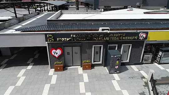 'EDREMİT'TE SOKAK HAYVANLARI İÇİN SEVGİ!'