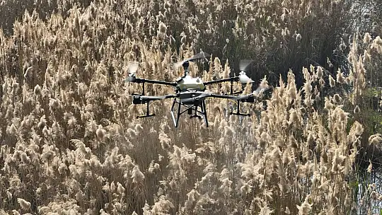 Balıkesir, sivrisineksiz bir yaz geçirecek