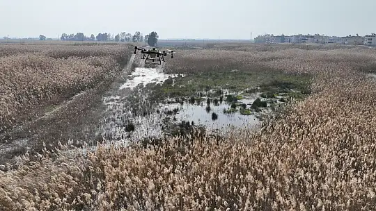 Balıkesir, sivrisineksiz bir yaz geçirecek