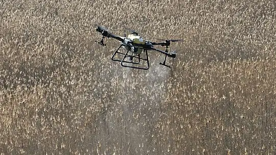 Balıkesir, sivrisineksiz bir yaz geçirecek