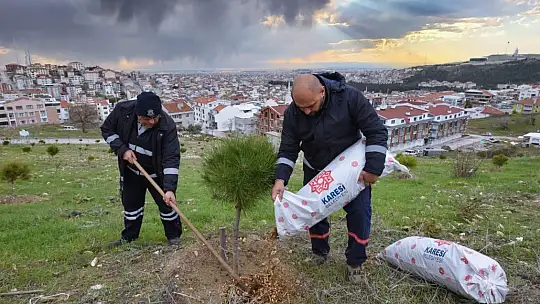 KARESİ'DE BUDANAN DALLAR GÜBRE OLUYOR