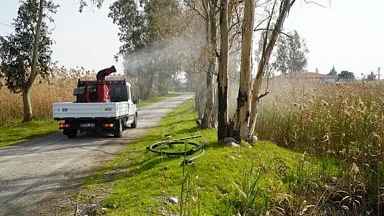 Balıkesir, sivrisineksiz bir yaz geçirecek