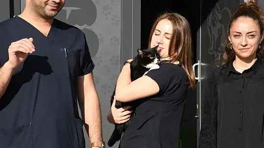 Olta iğnesi yutan kedi doğal ortamına salındı