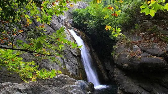 Tayfun Canlı Tatilcileri Edremit'e Davet Etti…