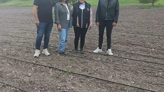 Ekiminden Hasadına Kadar Büyükşehir Yanlarında