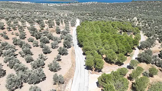 Büyükşehir, 4 Ayda 30 Kilometre Yol Yaptı