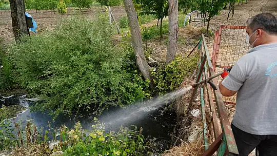 Altıeylül Belediyesi'nden Sivrisinek Ve Haşerelere Karşı İlaçlama