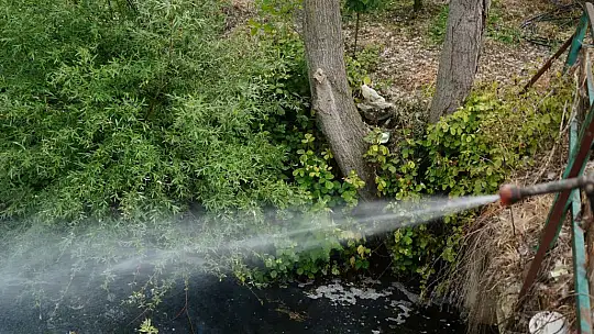 Altıeylül Belediyesi'nden Sivrisinek Ve Haşerelere Karşı İlaçlama