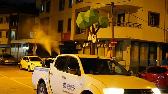 Altıeylül Belediyesi'nden Sivrisinek Ve Haşerelere Karşı İlaçlama