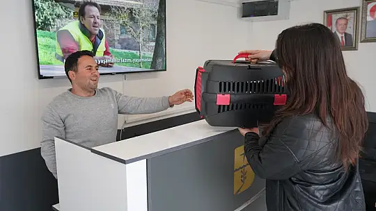 'EDREMİT'TE SOKAK HAYVANLARI İÇİN SEVGİ!'