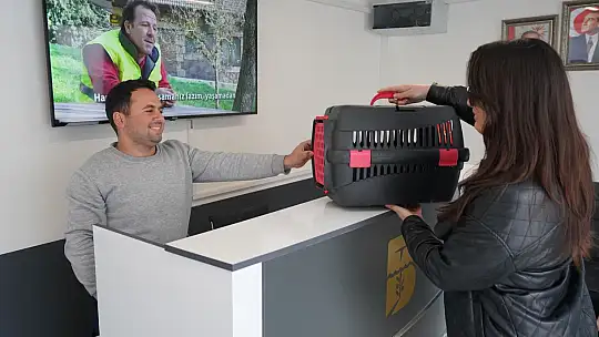 'EDREMİT'TE SOKAK HAYVANLARI İÇİN SEVGİ!'