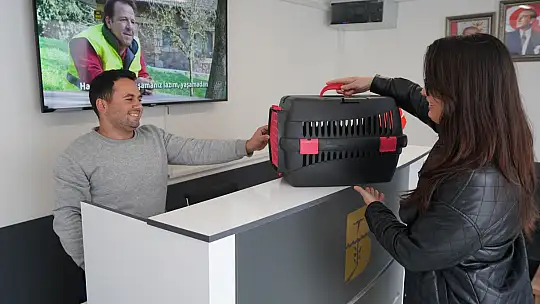 'EDREMİT'TE SOKAK HAYVANLARI İÇİN SEVGİ!'