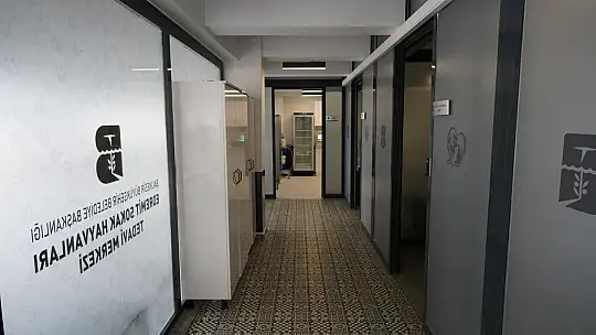 'EDREMİT'TE SOKAK HAYVANLARI İÇİN SEVGİ!'