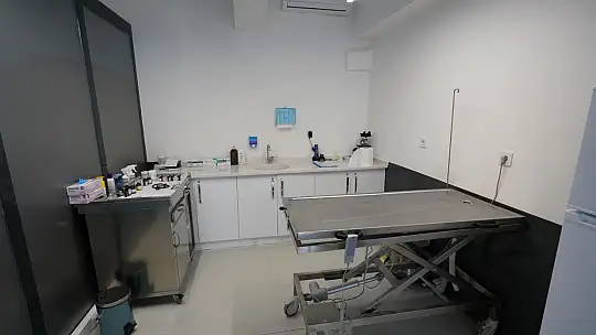 'EDREMİT'TE SOKAK HAYVANLARI İÇİN SEVGİ!'