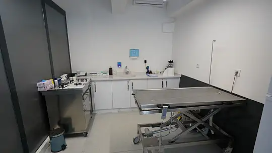 'EDREMİT'TE SOKAK HAYVANLARI İÇİN SEVGİ!'