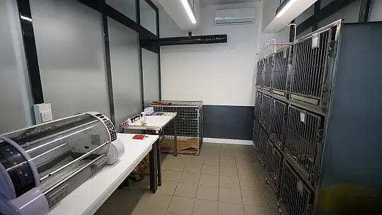 'EDREMİT'TE SOKAK HAYVANLARI İÇİN SEVGİ!'