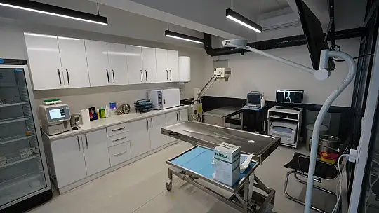 'EDREMİT'TE SOKAK HAYVANLARI İÇİN SEVGİ!'