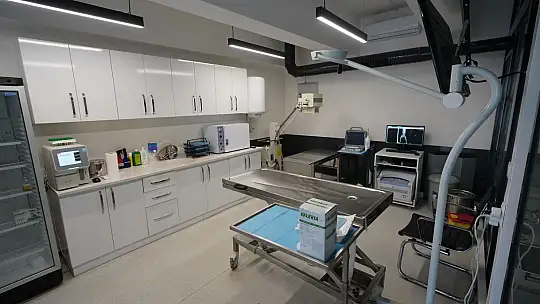 'EDREMİT'TE SOKAK HAYVANLARI İÇİN SEVGİ!'