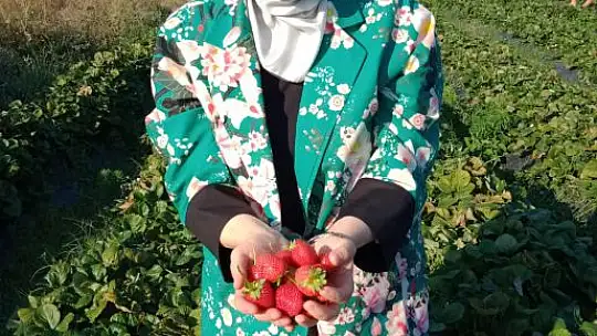 Belgin Uygur İlçe Ziyaretlerine Devam Ediyor