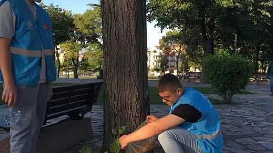 Balıkesir Ülkü Ocaklarından 50 Noktada 50 Kg Mama Dağıtımı.