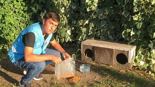 Balıkesir Ülkü Ocaklarından 50 Noktada 50 Kg Mama Dağıtımı.