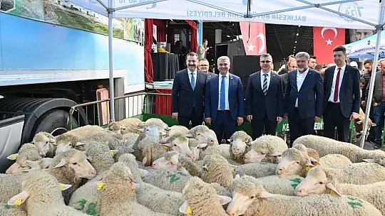 BBB, 481 KOÇ DAĞITTI