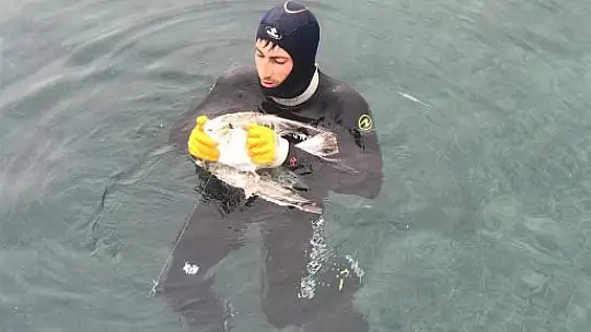 Yaralı martı özgürlüğe kanat çırptı