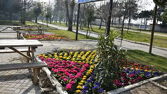 Edremit bahara erken girdi