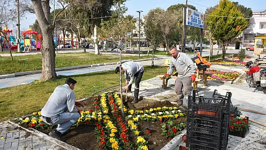 Edremit bahara erken girdi