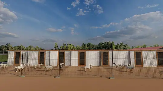 Edremit'te Can Dostlar Yuvasına Kavuşuyor