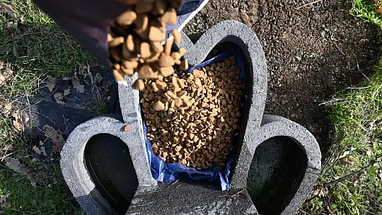 KARESİ'DEN SOKAK HAYVANLARINA ŞEFKAT ELİ