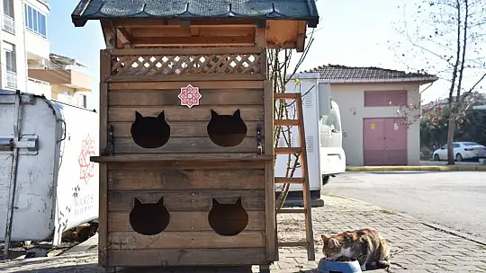 KARESİ'DEN SOKAK HAYVANLARINA ŞEFKAT ELİ