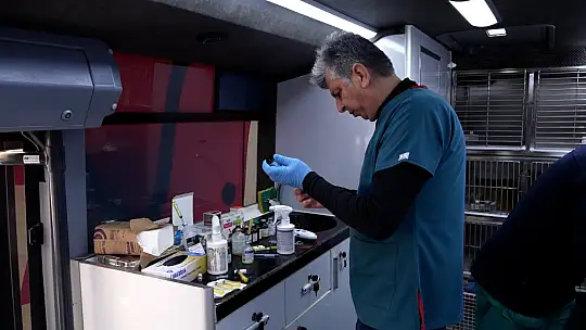 Sokak hayvanları 'Can Dost'a emanet