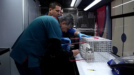 Can Dost, Temmuz-Ağustos Programına Bigadiç'ten Başlıyor