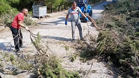 Karesi'de Sonbahar Hazırlığı
