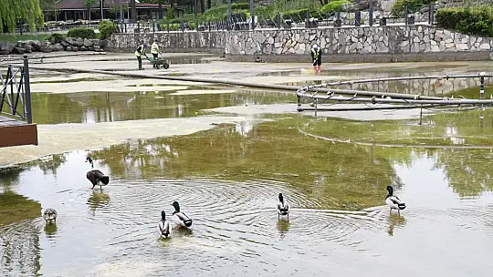 Atatürk Parkı göz kamaştırmaya devam ediyor