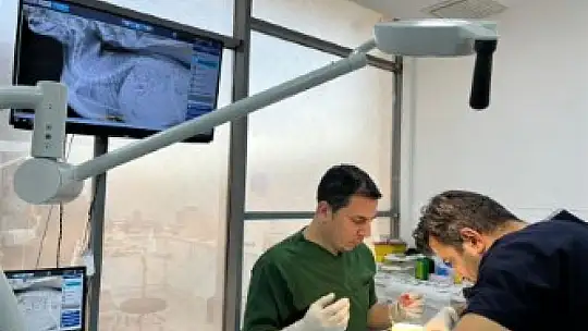 Olta iğnesi yutan kedi Büyükşehir'in tedavi merkezinde güvende