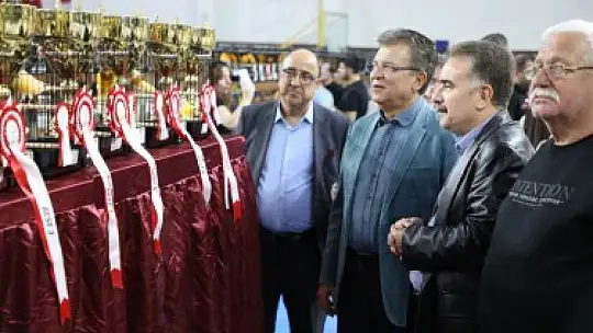 Dünyanın en büyük kanarya yarışması Edremit'te...