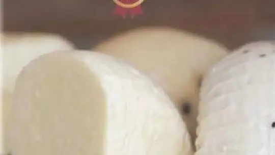 Zeytin ve ekmek kitapları Dünya Kitap Yarışması'nda