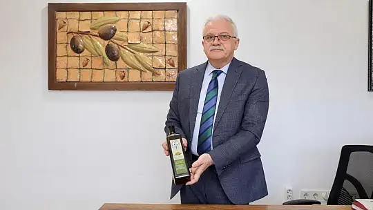 Burhaniye'de Zeytin Hasat Zamanı
