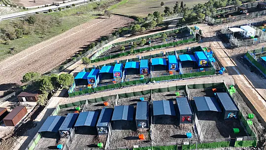 Türkiye'de ilk defa özel gereksinimli can dostlara sıcak yuva Balıkesir'de